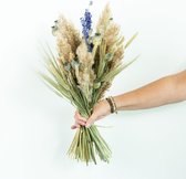 Droogbloemen Boeket - Papaver - Gedroogde bloemen - Woondecoratie - Mix van 7 soorten ↑ 70cm