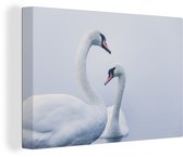 Tableau sur Toile Cygnes - Vogel - Wit - 90x60 cm - Décoration murale