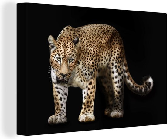 Canvas Schilderij Luipaard - Wild - Zwart - 90x60 cm - Wanddecoratie