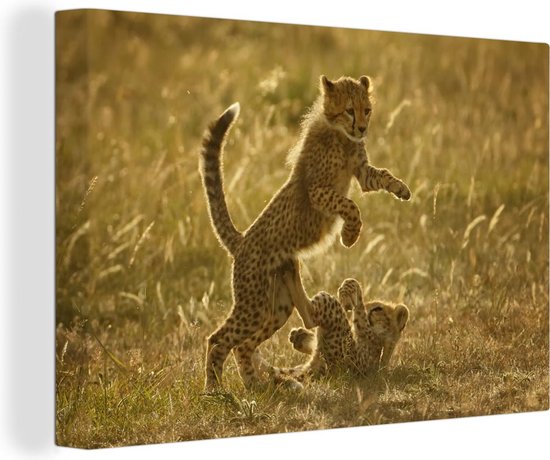 Tableau Peinture Guépard - Oursons - Safari - 60x40 cm - Décoration murale
