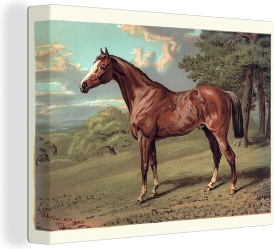 Canvas Schilderij Paard - Bos - Vintage - 80x60 cm - Wanddecoratie