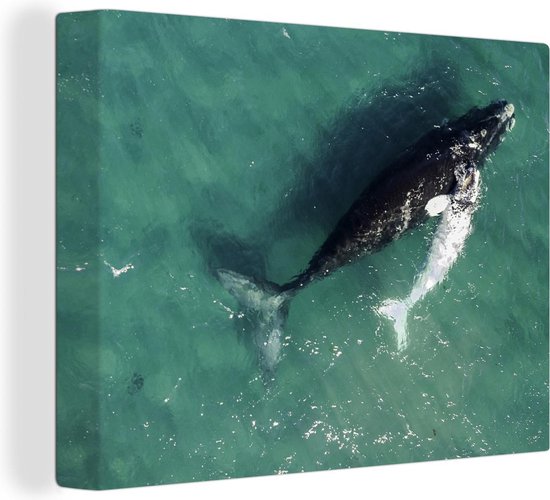 Tableau sur toile Baleine - Water - Vert - 80x60 cm - Décoration murale