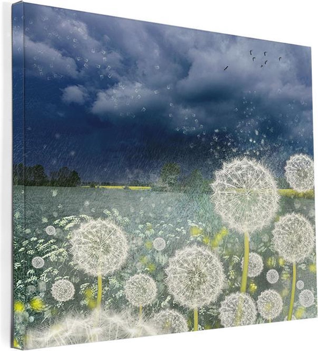 Ideasonthefloor.com - Schilderij - Canvas - Prent - Foto schilderij - Titel: Wishes - 80x80 cm