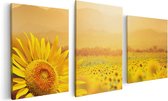 Artaza - Triptyque de peinture sur toile - Champ de tournesols avec lever de soleil - 120x60 - Photo sur toile - Impression sur toile