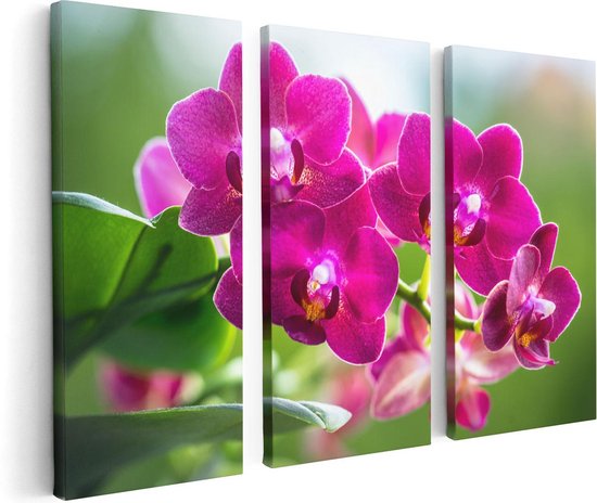 Artaza Canvas Schilderij Drieluik Roze Orchidee Bloemen - 120x80 - Foto Op Canvas - Canvas Print