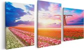 Artaza Canvas Schilderij Drieluik Kleurrijke Bloemenveld Met Een Windmolen - 120x60 - Foto Op Canvas - Canvas Print