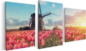 Artaza Canvas Schilderij Drieluik Roze Tulpen Bloemenveld - Met Windmolen - 120x60 - Foto Op Canvas - Canvas Print