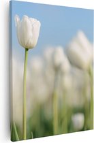 Artaza Canvas Schilderij Witte Tulpen - Bloemen - 40x50 - Foto Op Canvas - Canvas Print