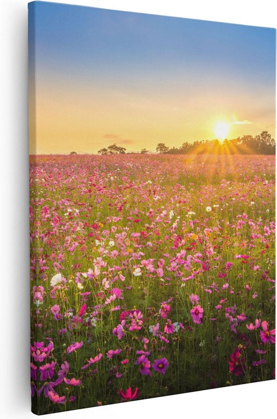 Artaza Canvas Schilderij Bloemenveld Met Roze Kosmos  - 40x50 - Foto Op Canvas - Canvas Print