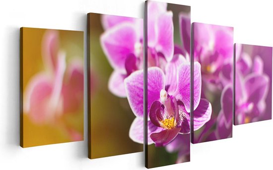 Artaza Canvas Schilderij Vijfluik Paarse Orchidee Bloemen - 100x50 - Foto Op Canvas - Canvas Print