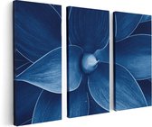 Artaza Canvas Schilderij Drieluik Blauwe Agave Plant - Bloem - 120x80 - Foto Op Canvas - Canvas Print