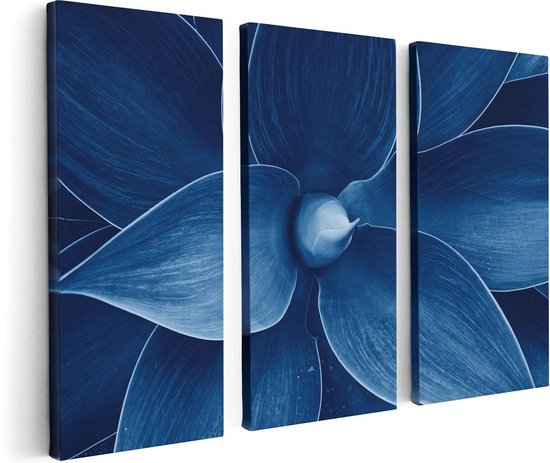 Artaza - Canvas Schilderij - Blauwe Agave Plant - Bloem - Foto Op Canvas - Canvas Print