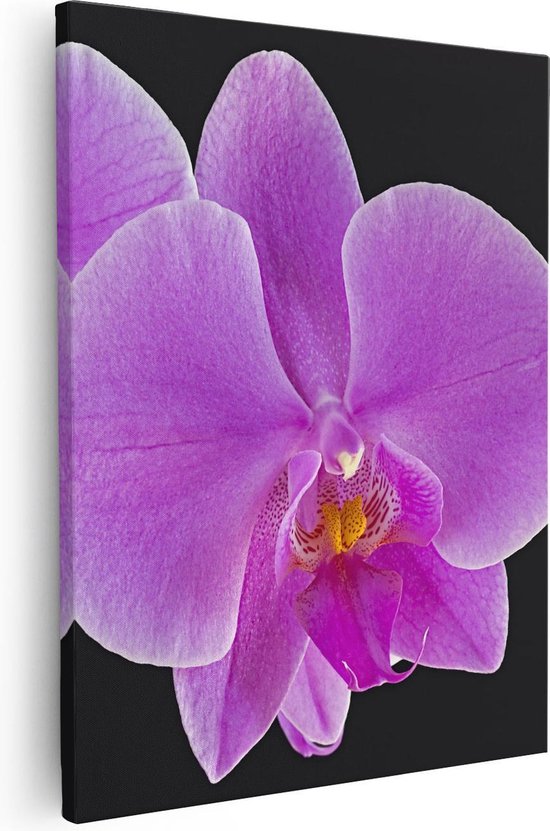Artaza Canvas Schilderij Licht Paarse Orchidee - Bloem - 80x100 - Groot - Foto Op Canvas - Canvas Print