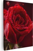 Artaza Canvas Schilderij Romantische Rode Roos  - 80x100 - Groot - Foto Op Canvas - Canvas Print