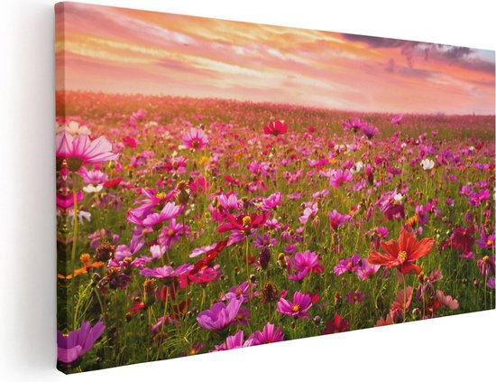 Artaza - Peinture sur toile - Champ de fleurs de Kosmos coloré - 40 x 20 - Klein - Photo sur toile - Impression sur toile