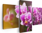 Artaza Canvas Schilderij Drieluik Paarse Orchidee Bloemen - 90x60 - Foto Op Canvas - Canvas Print