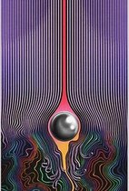 Psychedelic Tame Impala Print Poster Wall Art Kunst Canvas Printing Op Papier Living Decoratie  C4052-2