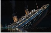 Klassieke Titanic Film Print Poster Wall Art Kunst Canvas Printing Op Papier Living Decoratie 50X80cm Multi-color