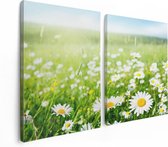 Artaza - Peinture sur toile Diptyque - Champ de fleurs de marguerites - Fleurs - 120x80 - Photo sur toile - Impression sur toile