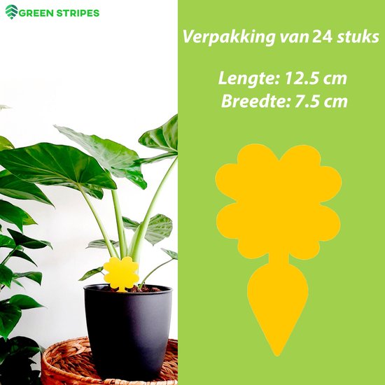 Plak klavertjes tegen rouwvliegjes 24 stuks - Rouwvliegjes bestrijden - Varenrouwmug - Plakstrips - Vangkaarten - Vangplaten - Insectenval - Insectenvanger