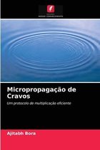 Micropropagacao de Cravos