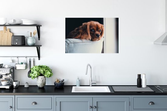 Poster Chien - Chaise - Tête - 90x60 cm