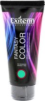 Permanente Kleur Fantasy Exitenn Groen (100 ml)