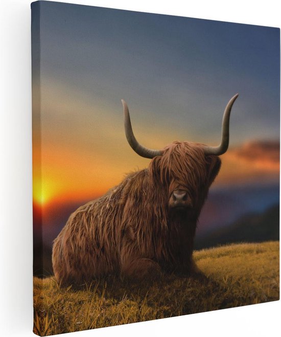 Artaza Canvas Schilderij Schotse Hooglander Koe Op Een Heuvel - 80x80 - Groot - Foto Op Canvas - Canvas Print