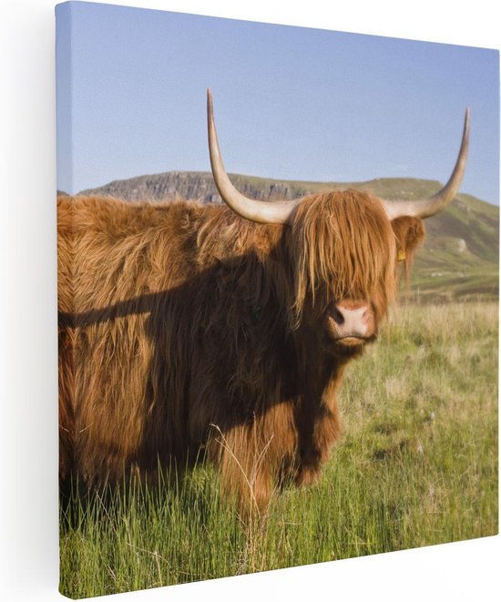 Artaza Peinture sur Toile Vache Highlander écossaise - Couleur - 90x90 - Groot - Photo sur Toile - Impression sur Toile