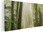 Artaza Canvas Schilderij Bos Met Bomen En Zonneschijn - 100x50 - Groot - Foto Op Canvas - Canvas Print