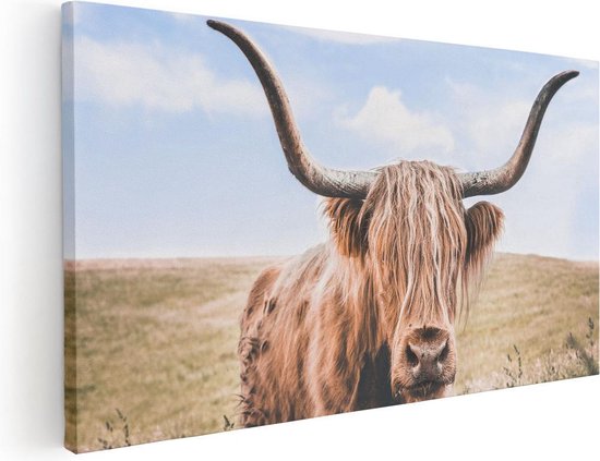 Artaza Canvas Schilderij Schotse Hooglander Koe In De Wei - 100x50 - Groot - Foto Op Canvas - Canvas Print