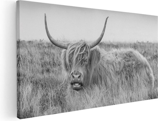 Artaza Canvas Schilderij Schotse Hooglander Koe - Zwart Wit - 100x50 - Groot - Foto Op Canvas - Canvas Print