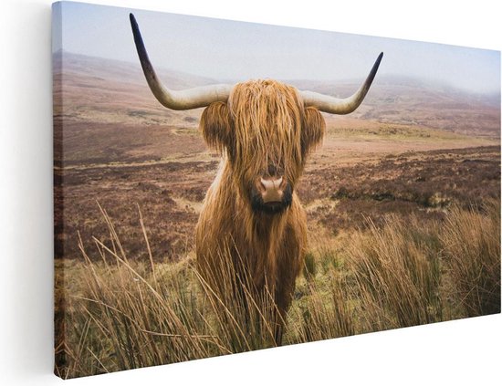 Artaza - peinture sur toile - vache Highlander écossais dans le champ - 100 x 50 - Groot - photo sur toile - impression sur toile