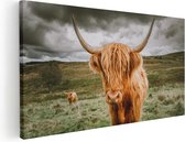 Artaza Canvas Schilderij Schotse Hooglanders In De Wei - Kleur - 60x30 - Foto Op Canvas - Canvas Print