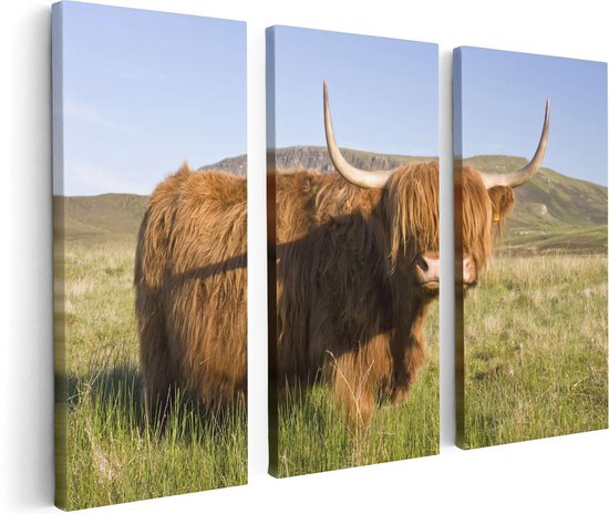 Artaza - Triptyque de peinture sur toile - Vache écossaise Highlander - Couleur - 120x80 - Photo sur toile - Impression sur toile