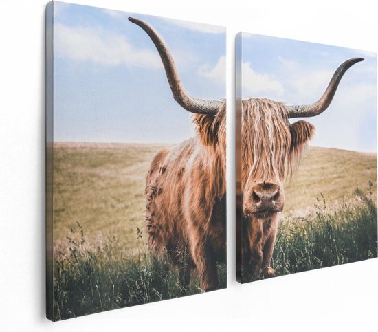 Artaza Canvas Schilderij Tweeluik Schotse Hooglander Koe In De Wei - 120x80 - Foto Op Canvas - Canvas Print