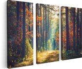 Artaza - Triptyque de peinture sur toile - Forêt d'automne avec soleil - Couleur - 120x80 - Photo sur toile - Impression sur toile