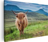 Artaza Canvas Schilderij Schotse Hooglander In De Wei - Kleur - 30x20 - Klein - Foto Op Canvas - Canvas Print