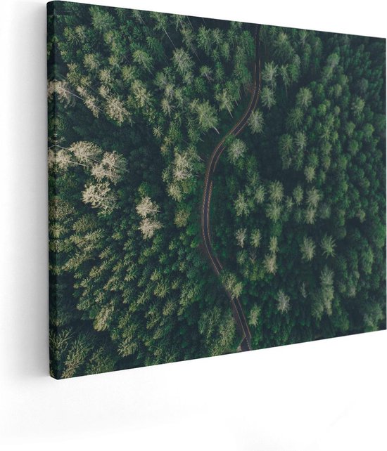 Artaza Canvas Schilderij Weg Door Bos Met Bomen - Bovenaanzicht - 100x80 - Groot - Foto Op Canvas - Canvas Print