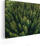 Artaza Canvas Schilderij Bos Met Bomen Vanaf Boven - 50x40 - Foto Op Canvas - Canvas Print