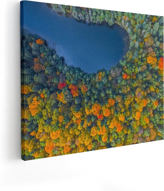 Artaza Canvas Schilderij Kleurrijke Bos Met Bomen Naast Een Meer - 50x40 - Foto Op Canvas - Canvas Print