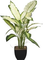 Kunstplant Dieffenbachia, 58 cm, in plastic pot