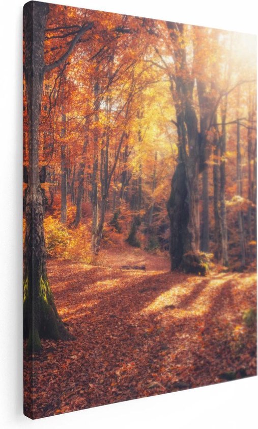 Artaza Canvas Schilderij Oranje Herfstbos Met Zonneschijn - 30x40 - Klein - Foto Op Canvas - Canvas Print