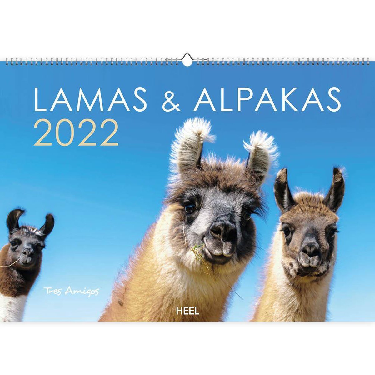 Lamas & Alpakas 2022