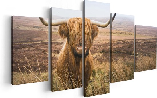 Pentaptyque Artaza - Peinture sur toile - Vache Highlander écossaise dans le champ - 100x50 - Photo sur toile - Impression sur toile