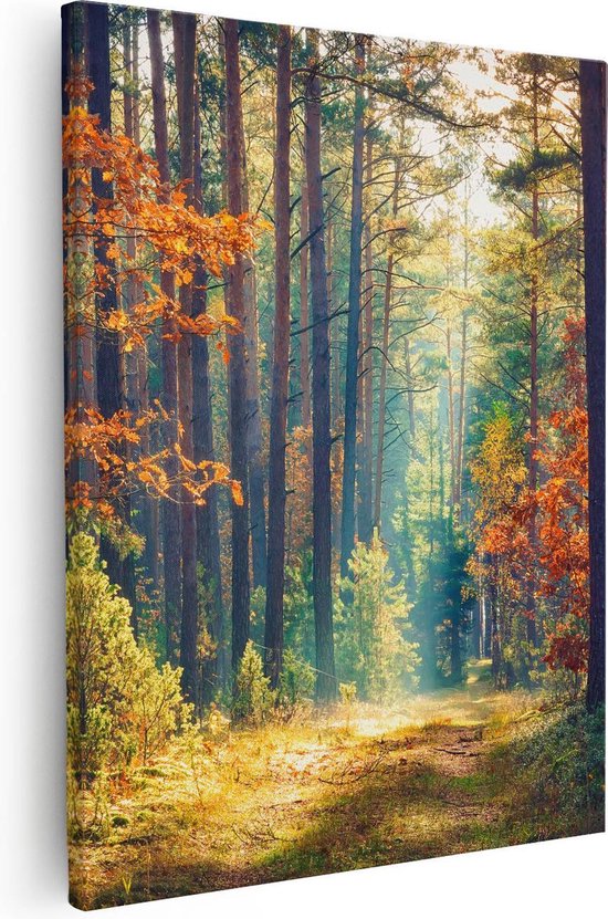 Artaza - Peinture sur toile - Forêt d'automne avec soleil - Couleur - 40x50 - Photo sur toile - Impression sur toile