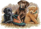 Voorbedrukt borduurpakket 42x31 cm - Cross stitch - D431 - 3 honden