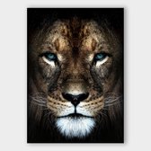 Poster Lion Close-up - Plexiglas - Meerdere Afmetingen & Prijzen | Wanddecoratie - Interieur - Art - Wonen - Schilderij - Kunst