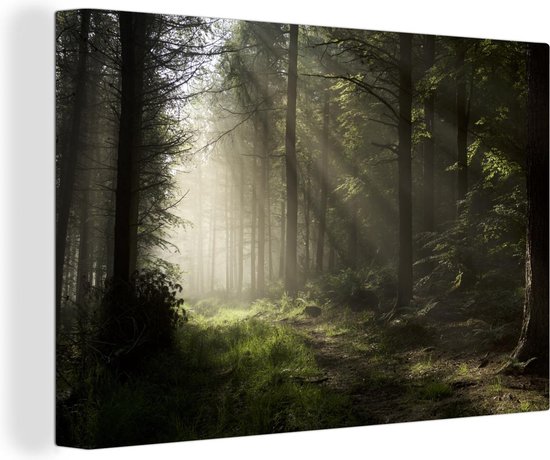 Canvas Schilderij Bos - Boom - Mist - 60x40 cm - Wanddecoratie