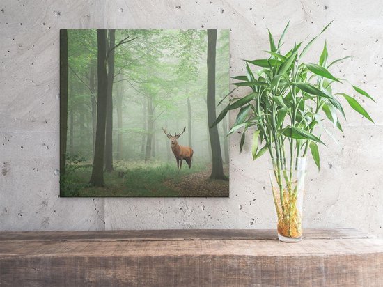 Artaza - Peinture sur toile - Cerf dans la forêt - 40 x 40 - Klein - Photo sur toile - Impression sur toile